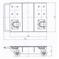 Steerable Skate